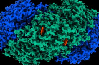 This Enzyme May Produce Electrical energy From Skinny Air