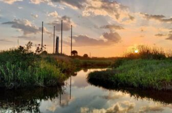 Relativity Area Re-Makes an attempt Launch of First 3D-Printed Rocket