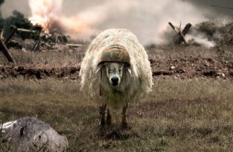 57 of the funniest unintentional picture searches you will see