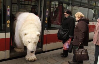 34 intriguing photographs that want additional rationalization