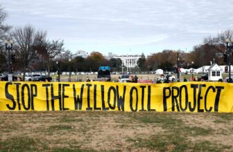 The Doubtful Financial Calculus Behind the Willow Venture