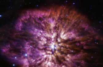 The JWST captures a uncommon star about to go nova