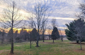 The Little Issues Publication #354 – Life, laughter, and many nice meals!