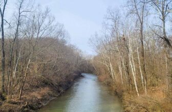 The Little Issues E-newsletter #355 – Life, laughter, and plenty of nice meals!