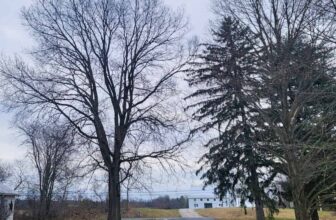 The Little Issues Publication #356 – Life, laughter, and many nice meals!