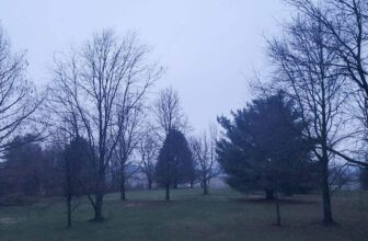 The Little Issues Publication #357 – Life, laughter, and many nice meals!