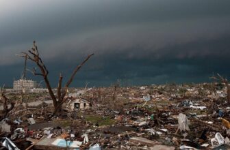 How Digital Actuality Publicity Remedy Helps Catastrophe Victims