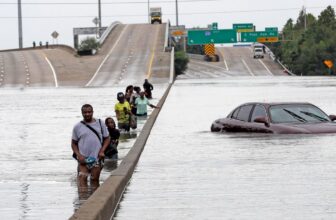 ‘Quickly Closing Window of Alternative’ to Reverse Local weather Change, Main Scientific Physique Finds