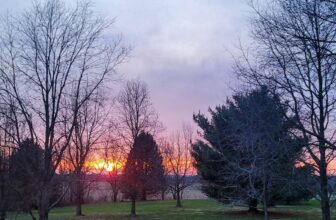 The Little Issues E-newsletter #358 – Life, laughter, and plenty of nice meals!