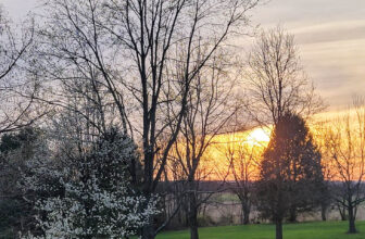 The Little Issues Publication # 359 – Life, laughter, and plenty of nice meals!