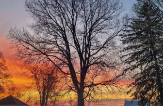 The Little Issues E-newsletter #361 – Life, laughter, and plenty of nice meals!