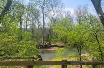 The Little Issues E-newsletter #362 – Life, laughter, and many nice meals!