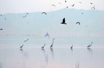 The World’s Lakes Are Shrinking