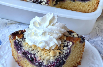 BLUEBERRY COFFEE CAKE – The Southern Girl Cooks