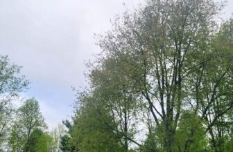 The Little Issues E-newsletter #363 – Life, laughter, and plenty of nice meals!