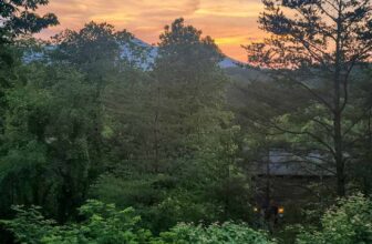 The Little Issues E-newsletter #366 – Life, laughter, and many nice meals!