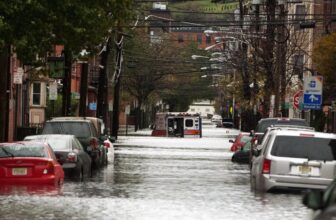 The Legal guidelines That Took Down Mobsters Are Being Turned In opposition to Large Oil