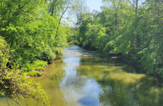 The Little Issues E-newsletter #365 – Life, laughter, and plenty of nice meals!