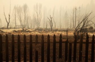 Allstate Pauses New House Insurance coverage Insurance policies in California