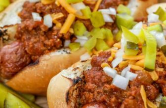 Fast Scorching Canine Chili – Spend With Pennies