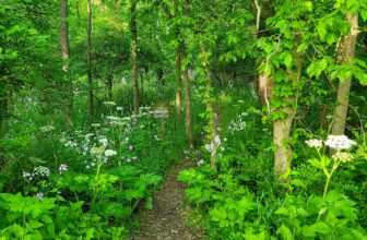 The Little Issues Publication #367 – Life, laughter, and plenty of nice meals!