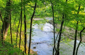 The Little Issues Publication #368 – Life, laughter, and many nice meals!