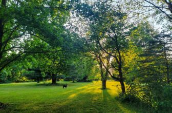 The Little Issues E-newsletter #369 – Life, laughter, and plenty of nice meals!